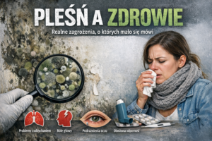 Pleśń a zdrowie – realne zagrożenia, o których mało się mówi