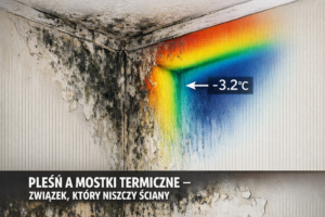 Pleśń a mostki termiczne – związek, który niszczy ściany