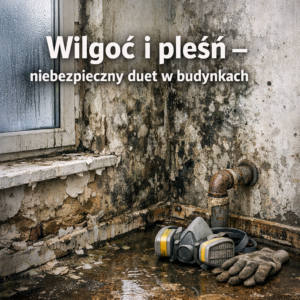 Wilgoć i pleśń – niebezpieczny duet w budynkach